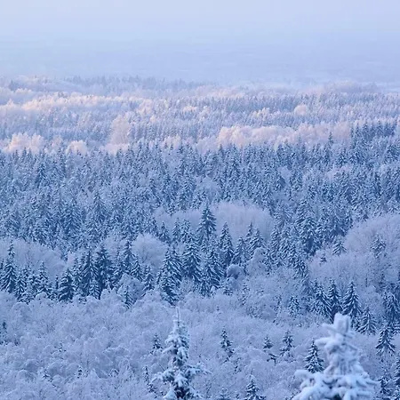 Ardennes Forest Appartement