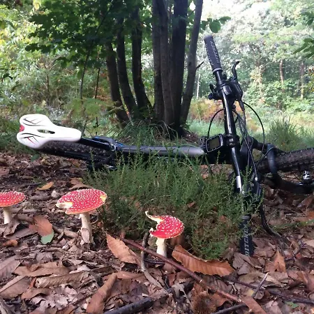 Ardennes Forest Appartement Nassogne